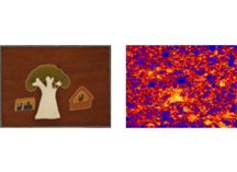 The science of conserving Gija art