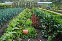 Symposia on Contemporary Issues in Urban Landscape - Event 1 Edible Landscapes